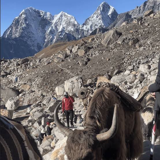 Luxury Everest Three High Passes Trek photo 10