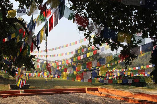Lumbini Spiritual & Meditation Tour