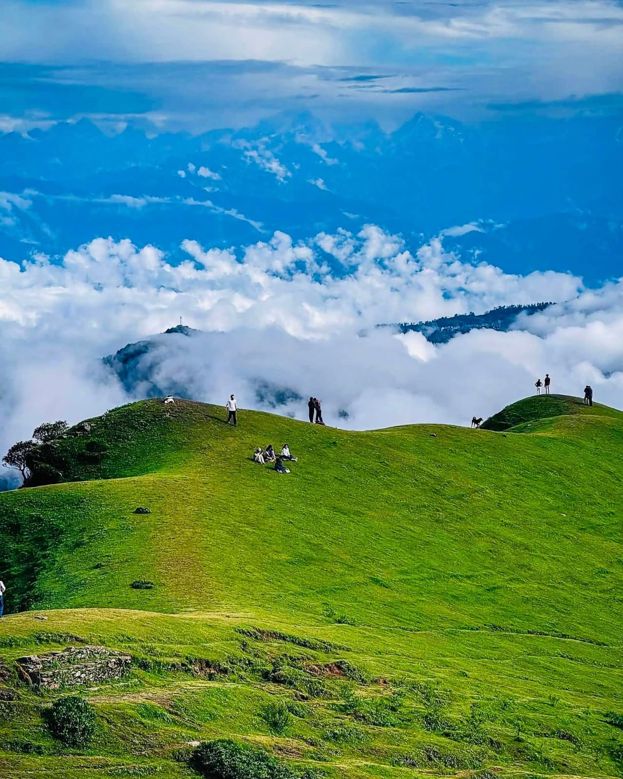 Shailung Dada Trek cover photo