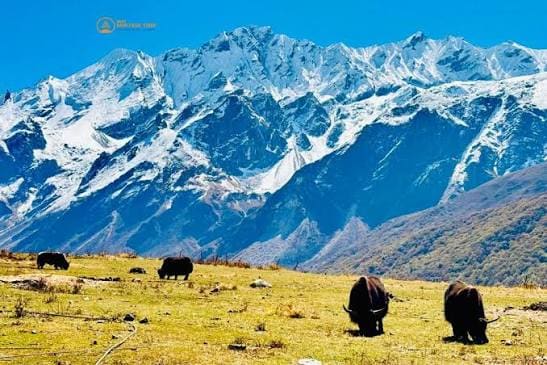 Tamang Heritage Trail Trek photo 13
