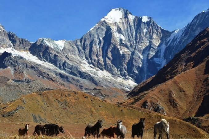 Api Himal – The Hidden White Wilderness photo 11