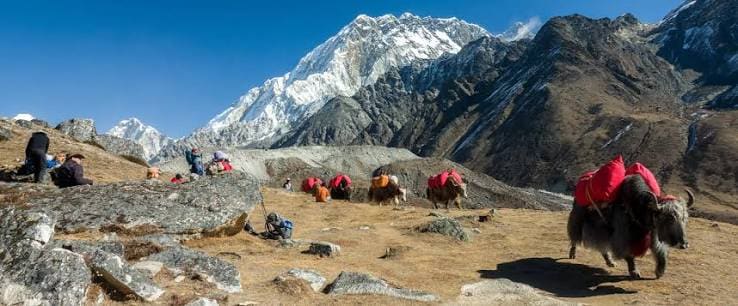 Luxury Everest Three High Passes Trek photo 13
