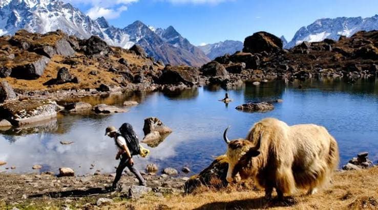 Kanchenjunga Base Camp Trek photo 12