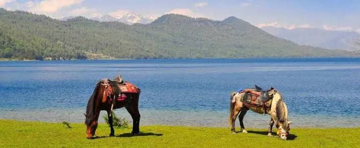 Rara Lake Trek photo 2