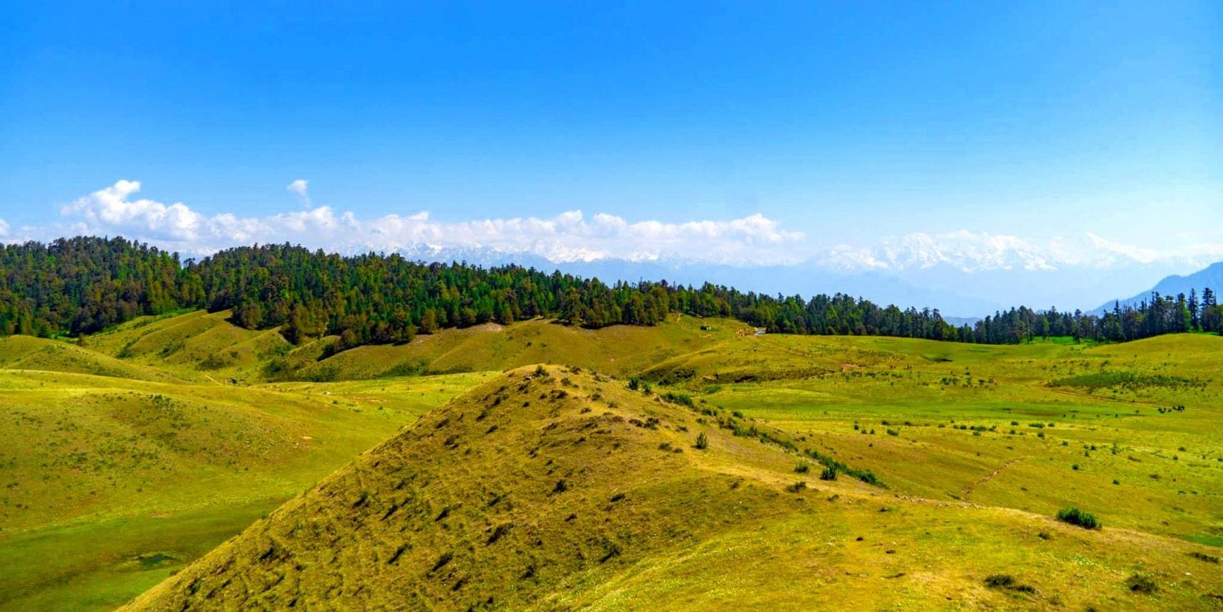 Khaptad Nature & Spiritual Wilderness Trek photo 18