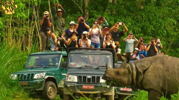 Chitwan Jungle Safari Tour
