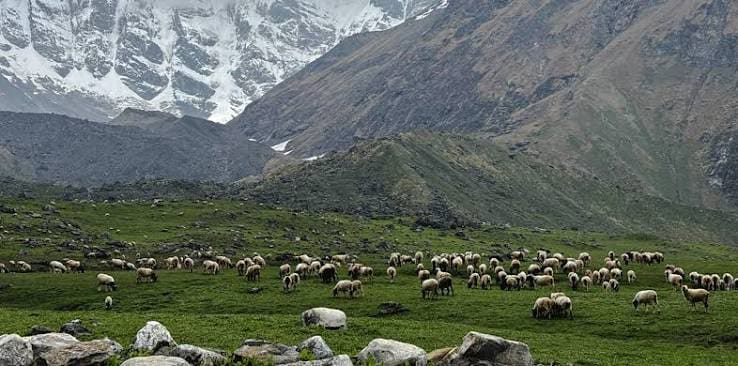 Api Himal – The Hidden White Wilderness photo 18