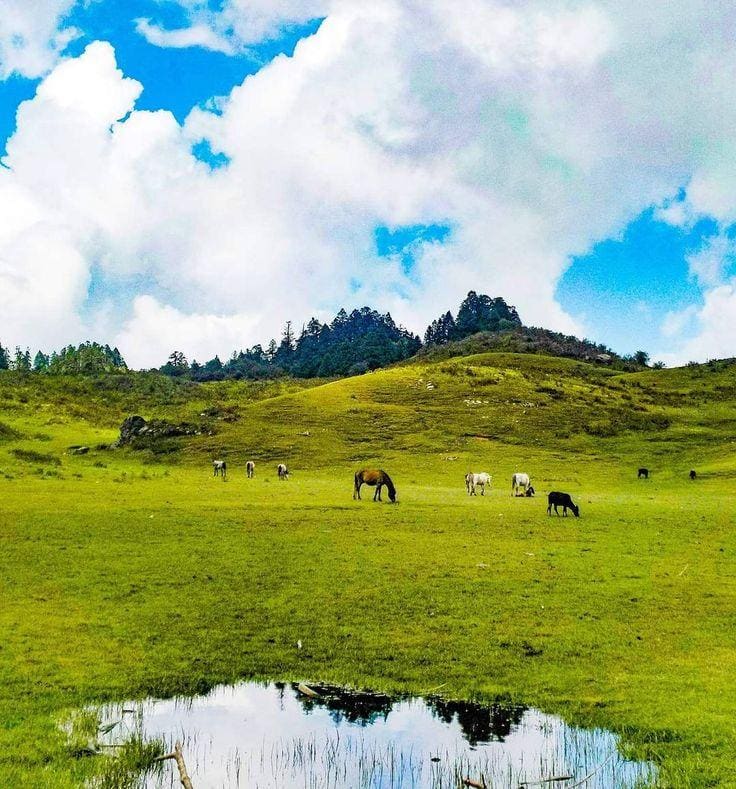 Khaptad Nature & Spiritual Wilderness Trek photo 16