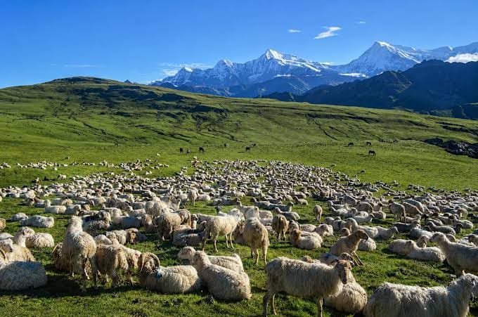 Dhorpatan Wilderness & Highland Culture Trek photo 16
