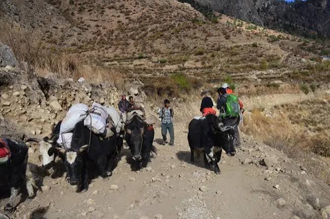 Saipal Himal Base Camp photo 7