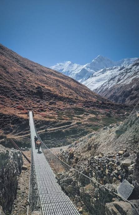Annapurna Circuit Trek photo 11