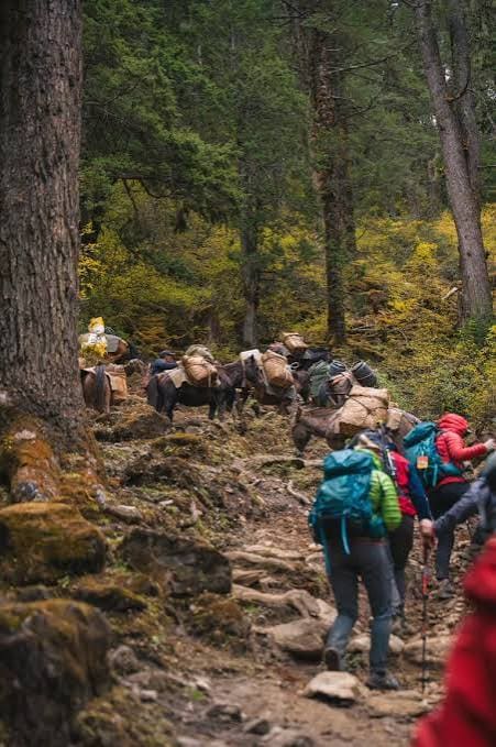 Bhutan Snowman Trek: The Ultimate Himalayan Expedition photo 12