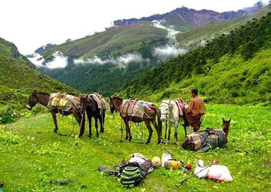 Druk Path Trek: Cultural Heartland of Bhutan photo 13