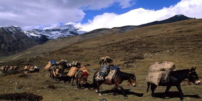 Druk Path Trek: Cultural Heartland of Bhutan photo 15
