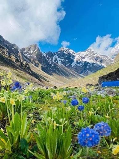 Lapchi Valley Trek | Sacred Himalayan Trek in Nepal photo 8