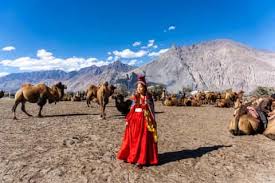 Ladakh Himalayan Tour – Nubra, Pangong, Hanle & Tso Moriri