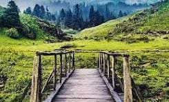 Khaptad Nature & Spiritual Wilderness Trek photo 2