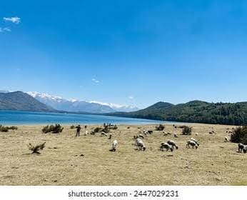 Rara Lake Trek photo 8