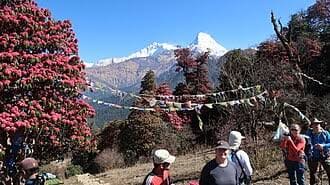 Ghorepani Poon Hill Trek photo 10