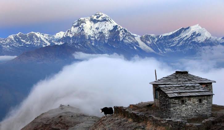 Khopra Danda Trek photo 6