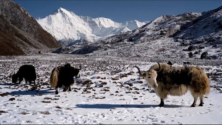 Luxury Everest Three High Passes Trek photo 8