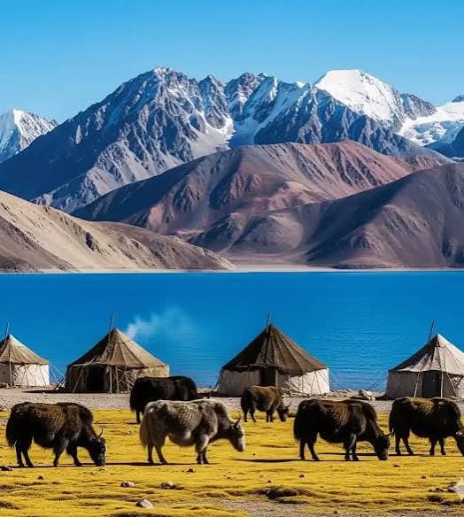 Ladakh Himalayan Tour – Nubra, Pangong, Hanle & Tso Moriri