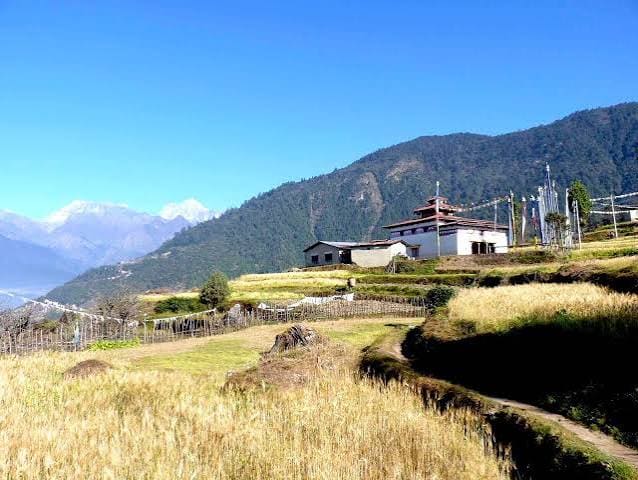 Langtang Valley Trek photo 10