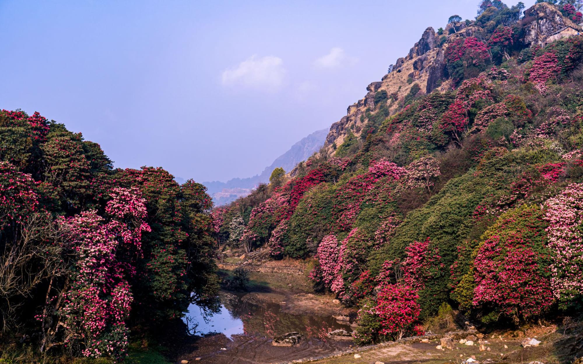 SANDAKPUR–MILKE DANDA–TINJURE–JALJALE GRAND TRAVERSE photo 5