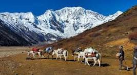 Saipal Himal Base Camp photo 19