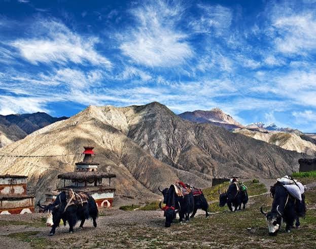 Upper Dolpo Trek