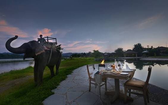 Chitwan Jungle Safari Tour