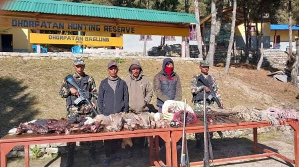 Dhorpatan Wilderness & Highland Culture Trek photo 10