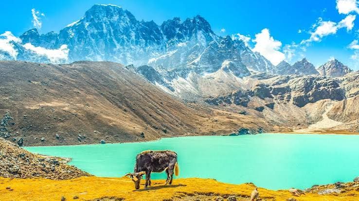 Gokyo Lake Trek: Turquoise Waters & Himalayan Panorama photo 16