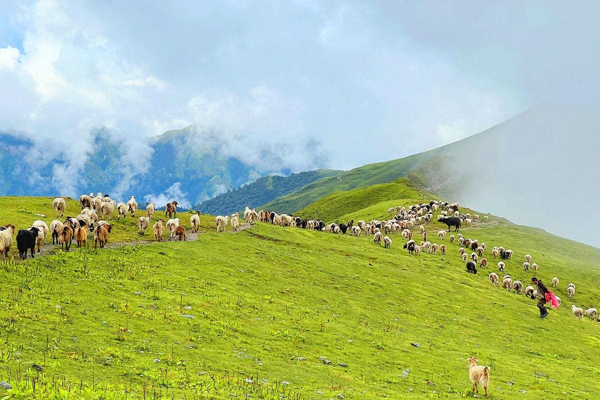 Dhorpatan Wilderness & Highland Culture Trek photo 17