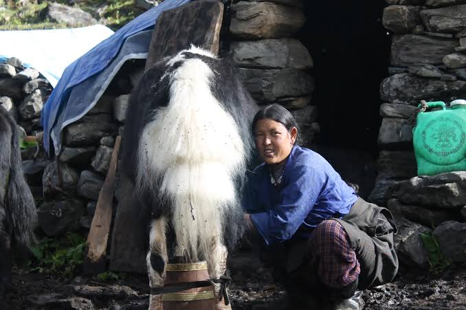 Saipal Himal Base Camp photo 11