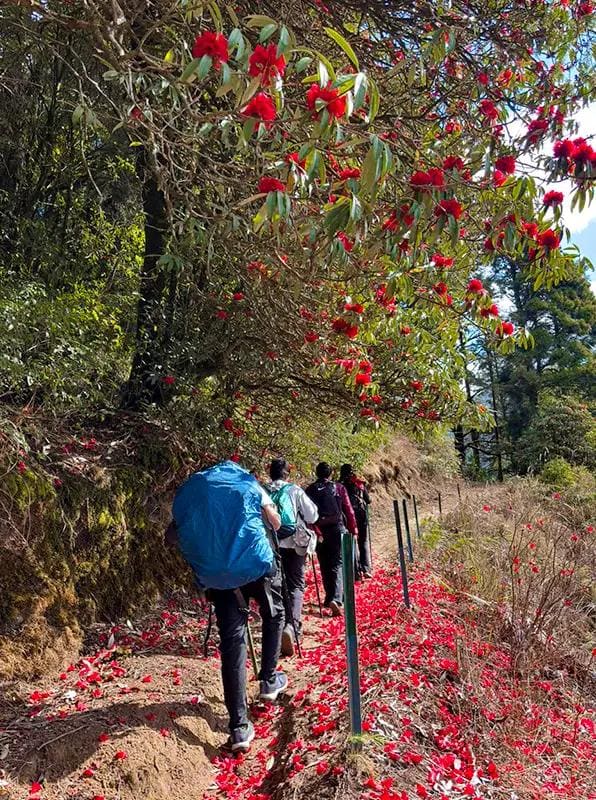 SANDAKPUR–MILKE DANDA–TINJURE–JALJALE GRAND TRAVERSE photo 3