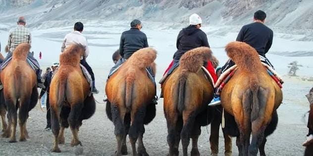 Ladakh Himalayan Tour – Nubra, Pangong, Hanle & Tso Moriri
