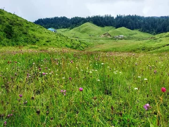 Khaptad Nature & Spiritual Wilderness Trek photo 11