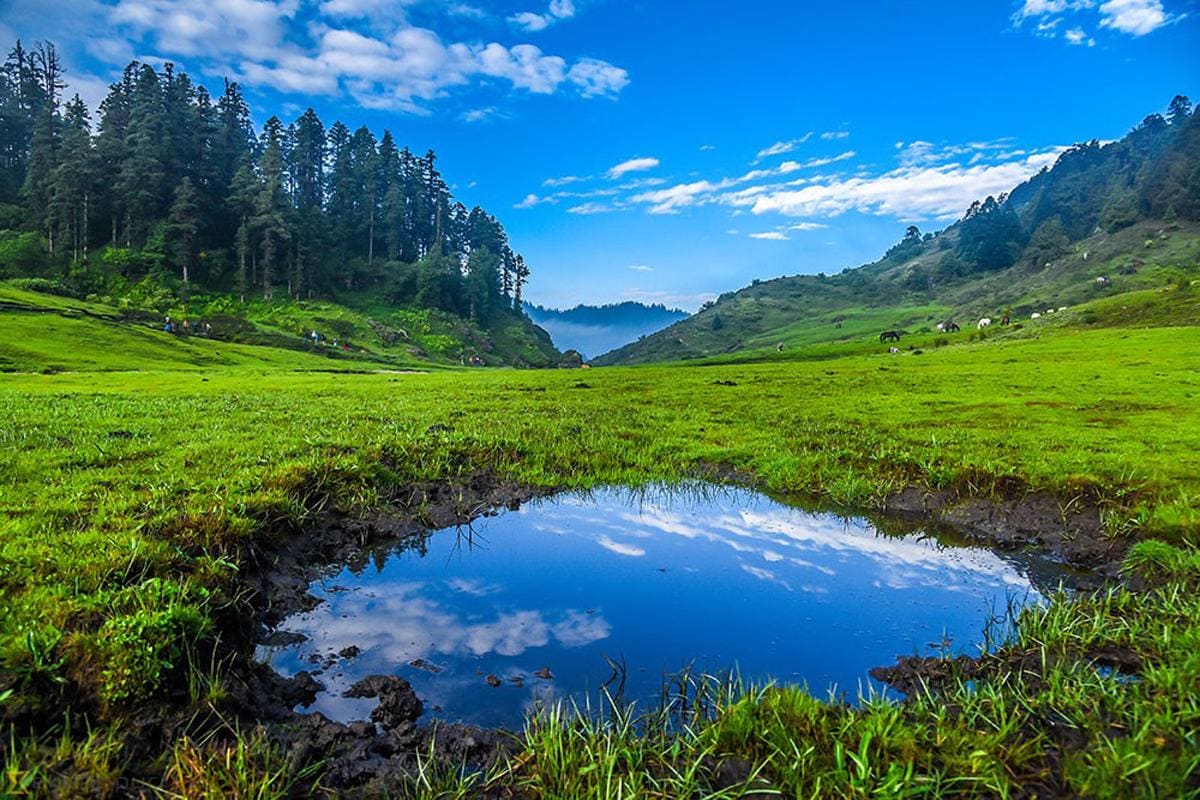 Khaptad Nature & Spiritual Wilderness Trek photo 4