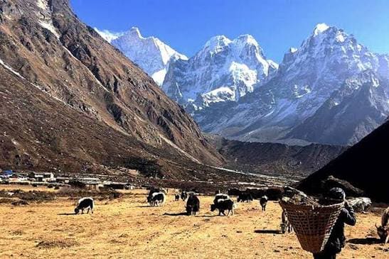 Kanchenjunga Base Camp Trek photo 15