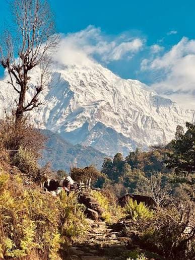 Khopra Danda Trek photo 7