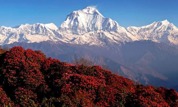 Ghorepani Poon Hill Trek photo 2