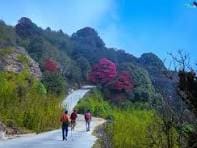 SANDAKPUR LAXURY TREK photo 4