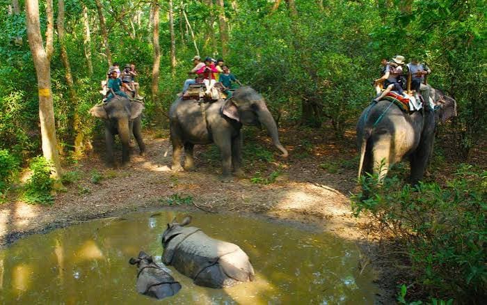 Chitwan Jungle Safari Tour