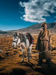 Ladakh Himalayan Tour – Nubra, Pangong, Hanle & Tso Moriri