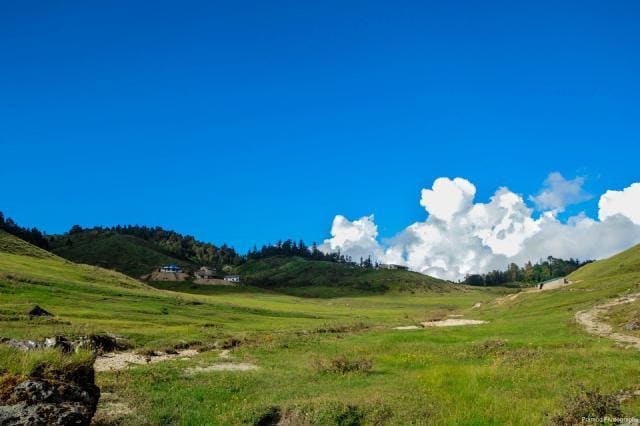 Khaptad Nature & Spiritual Wilderness Trek