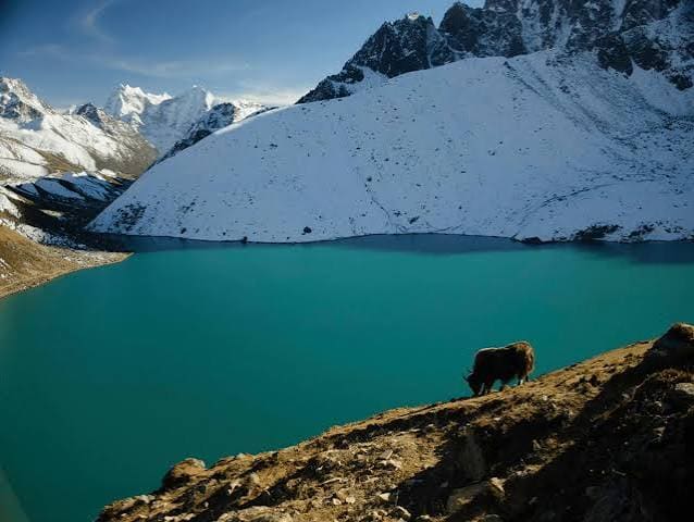Gokyo Lake Trek: Turquoise Waters & Himalayan Panorama photo 9