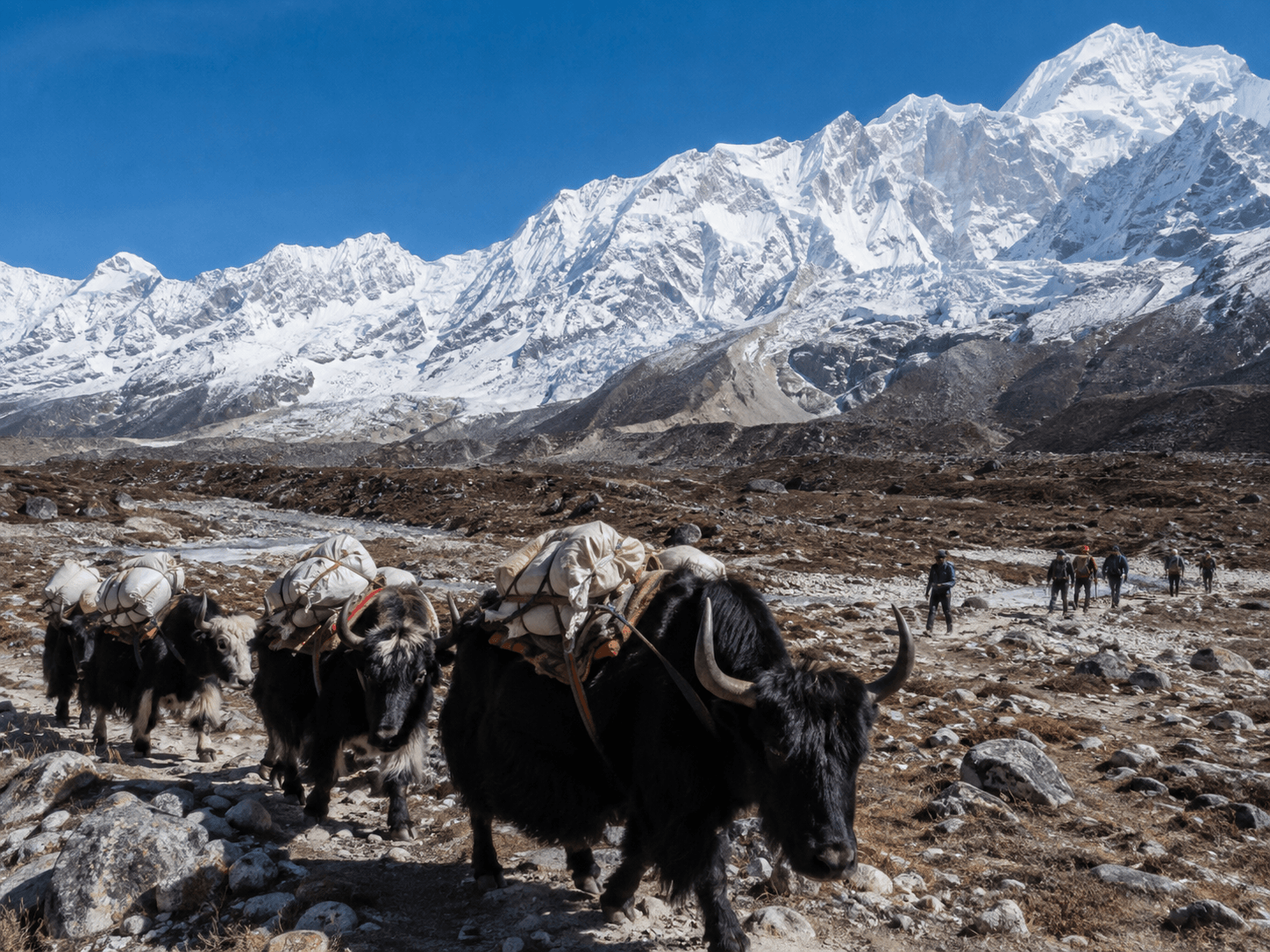 Kanchenjunga Base Camp Trek photo 3